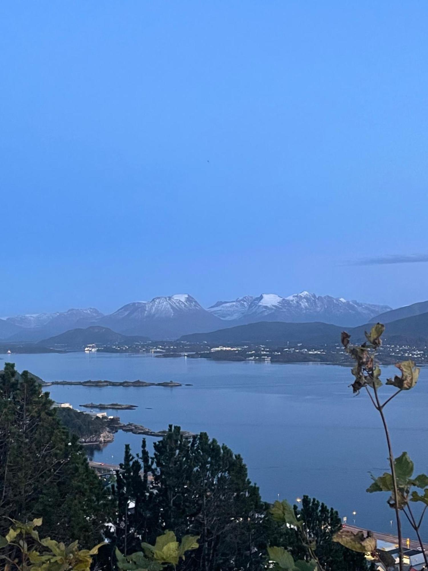 Koselig Leilighet I Sentrum Alesund Bagian luar foto